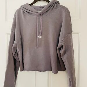 ALO cropped hoodie in gray, size M